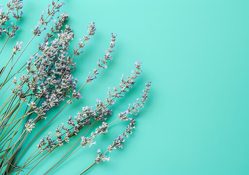 綠色背景上的薰衣草花