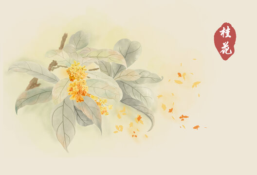 手繪桂花水墨
