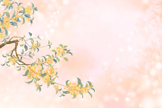 桂花