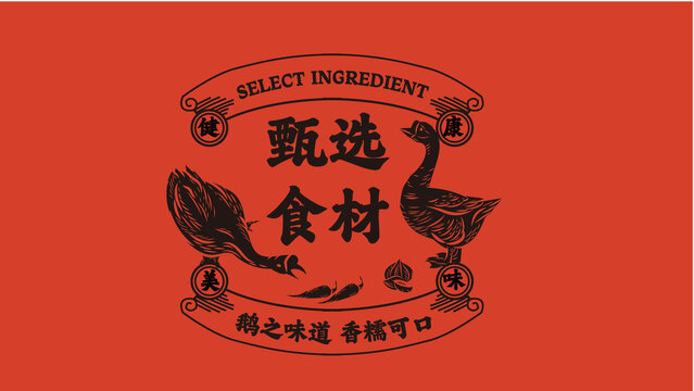 鵝圖片
