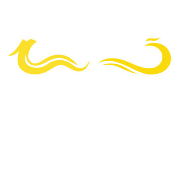 傳統(tǒng)中國(guó)紋樣龍鳳極簡(jiǎn)風(fēng)
