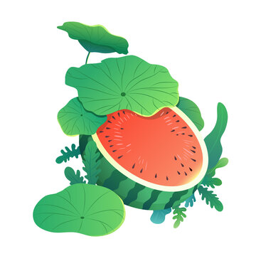 西瓜和荷葉矢量插畫(huà)