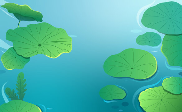 夏日荷葉背景插畫