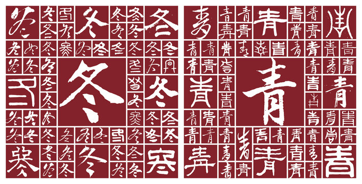 冬青
