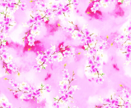 水彩梅花