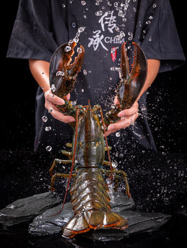 波龍