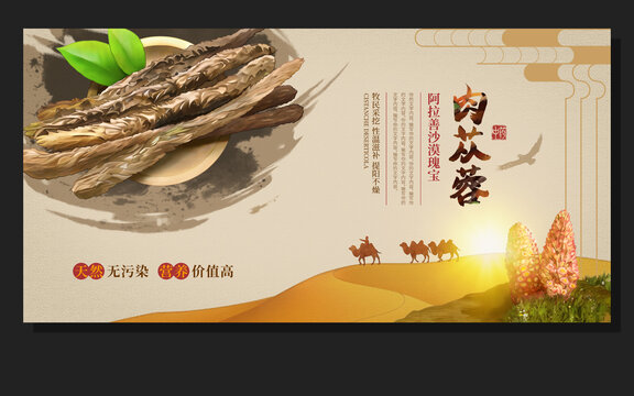 肉蓯蓉