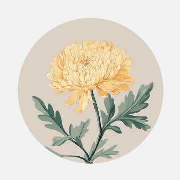 古典水墨風(fēng)菊花素材圖案