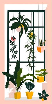 室內(nèi)粉色黃色花盆綠植