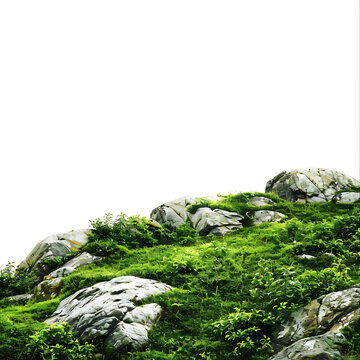 白色背景下的綠色草地和巖石