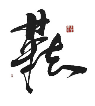 鞋