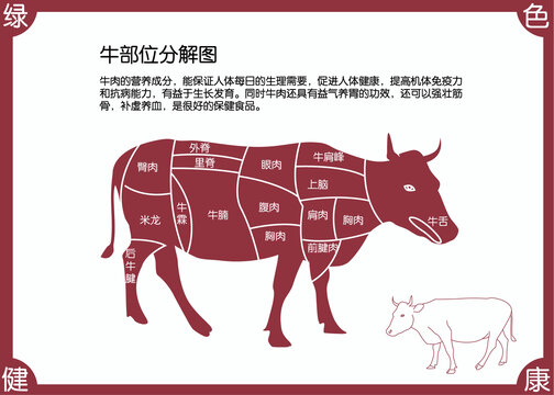 牛肉分割圖