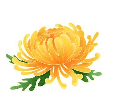 菊花國潮國風(fēng)水彩插畫