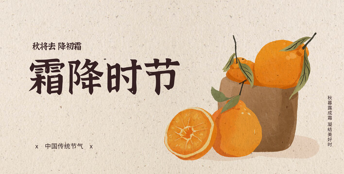 秋天橘子節(jié)氣霜降秋分水彩插畫