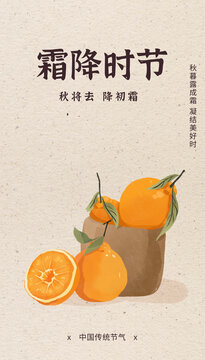 秋天橘子節(jié)氣霜降秋分水彩插畫(huà)