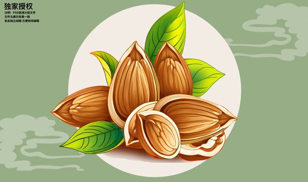 杏仁插畫(huà)