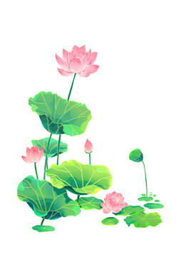 荷花國(guó)風(fēng)插畫(huà)