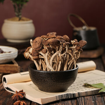 茶樹菇