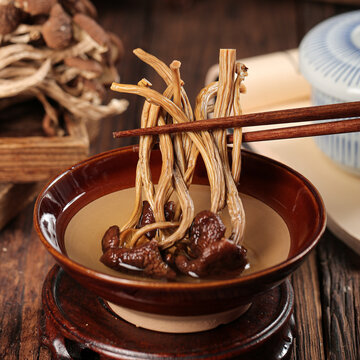 茶樹菇