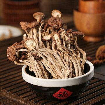 茶樹菇