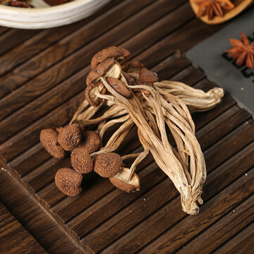 茶樹菇