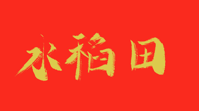 水稻田