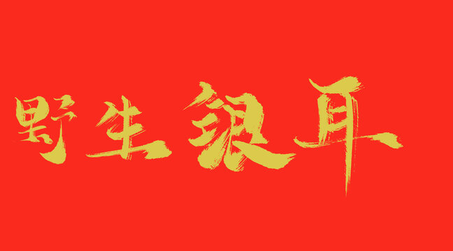 野生銀耳