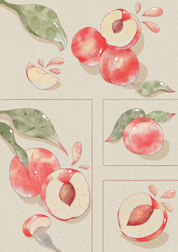 桃子水彩分鏡插畫(huà)