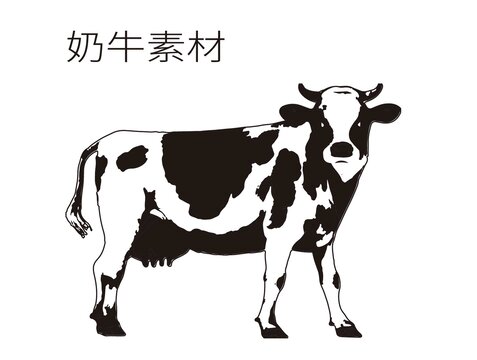 奶牛素材