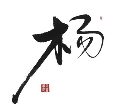 楊