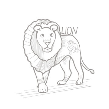 動物獅子線稿