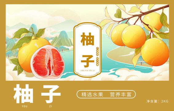 柚子包裝插畫設(shè)計(jì)
