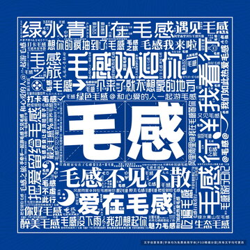 毛感打卡