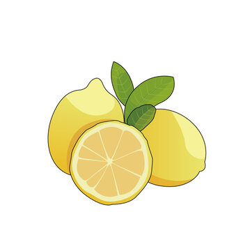 檸檬插畫(huà)