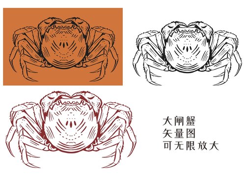 大閘蟹手繪矢量線稿