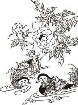 牡丹鴛鴦