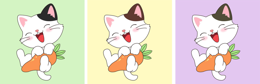 開心小貓抱胡蘿卜卡通圖案