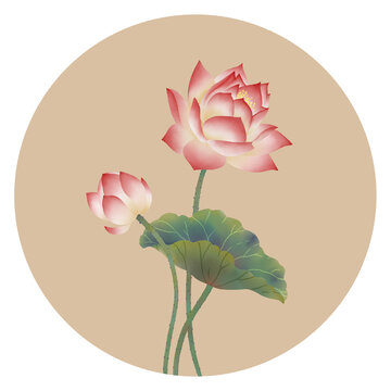 荷花國(guó)畫