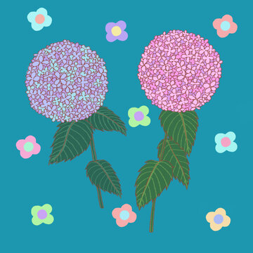 繡球花插畫