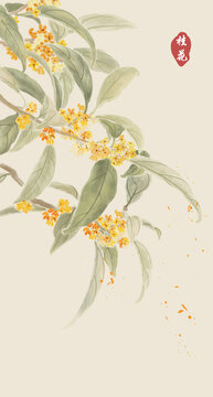 水墨桂花插畫(huà)