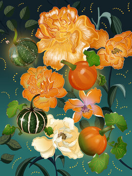 秋季描邊工筆花卉南瓜插畫