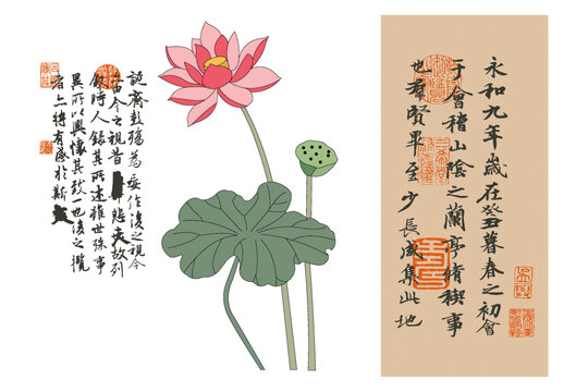 書法荷花展板