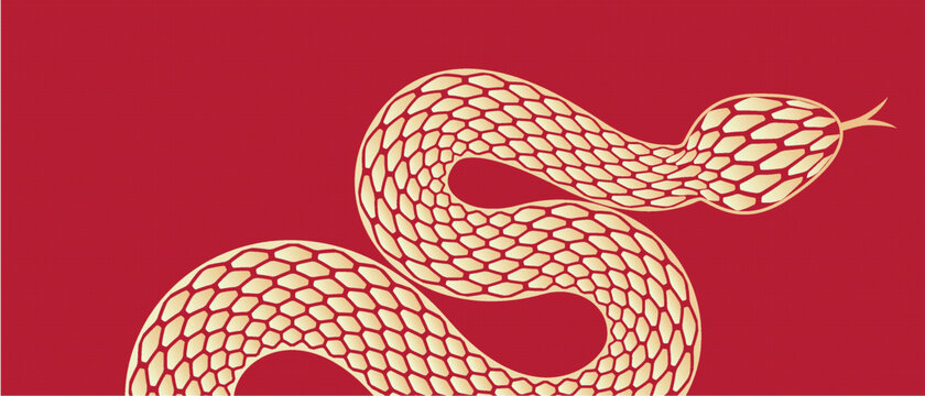 蛇抽象設(shè)計藝術(shù)背景
