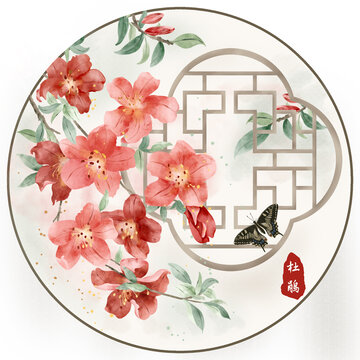 杜鵑插畫