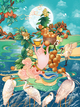 龍眼白露霜降節(jié)氣季節(jié)插畫