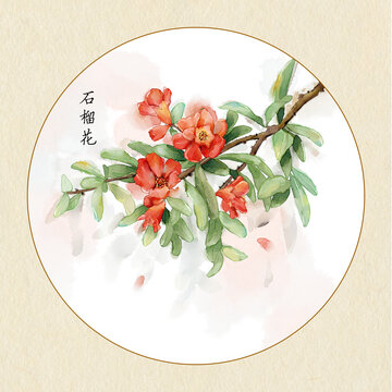 手繪水彩石榴花插畫