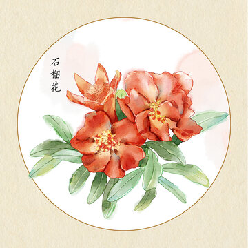 水彩石榴花插畫