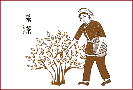 采茶女孩