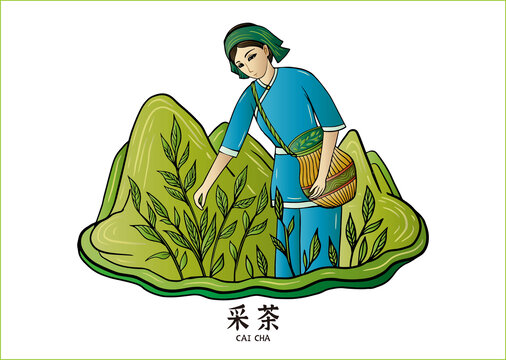 采茶女
