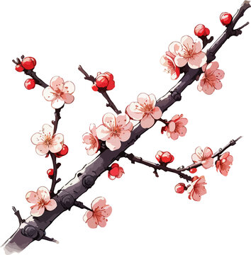 梅花